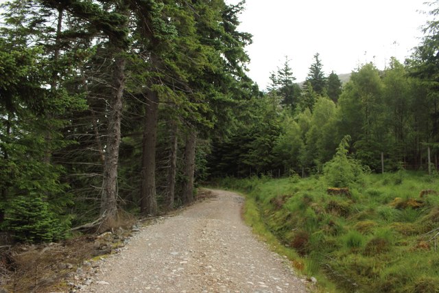 Track beside Loch Laggan