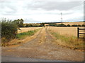 SP7585 : Farm track near Market Harborough by Malc McDonald