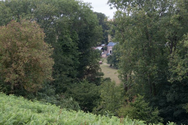 Glimpse of Luccombe Farm through Luccombe Covert