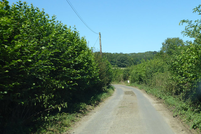 Lane towards Challock