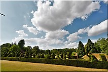TL8647 : Long Melford, Kentwell Hall and Park: The Pied Piper Topiary 3 by Michael Garlick