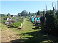 Through the allotments