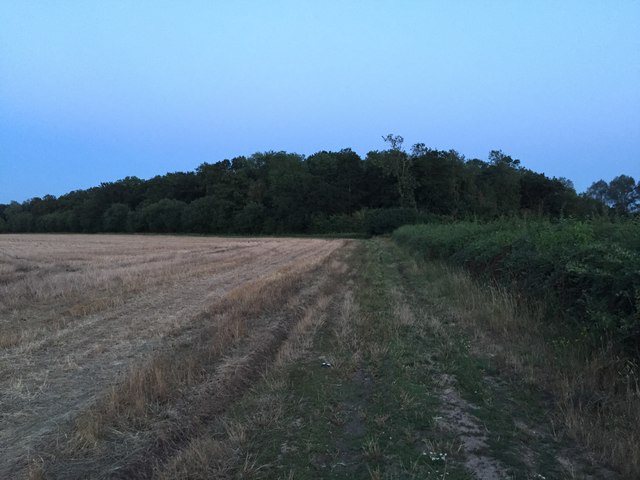 Twilight field view near Hacheston