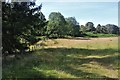 Sheltered field at Trian