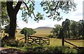 Field gate near Culloch