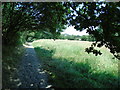 Paved pathway at Brooksbottoms