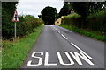 H4767 : Slow marking along Seskinore Road by Kenneth  Allen