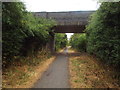 SP7371 : Bridge over Brampton Valley Way near Brixworth by Malc McDonald
