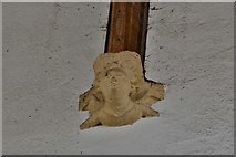 TG1127 : Heydon, St. Peter and St. Paul's Church: Nave roof corbel by Michael Garlick