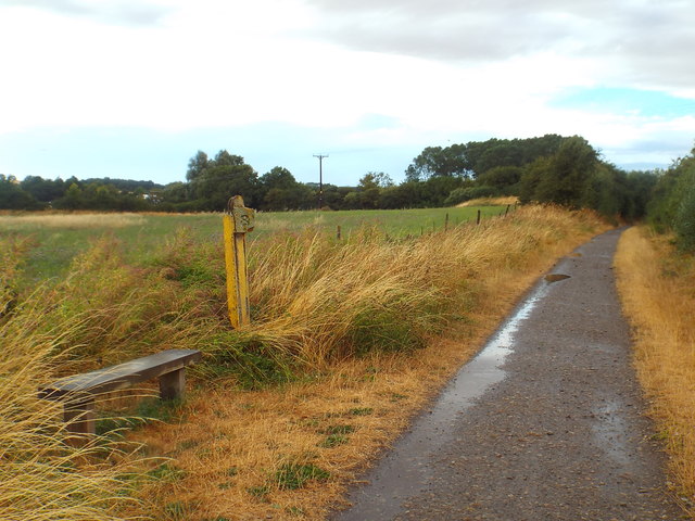 Brampton Valley Way, near Brixworth