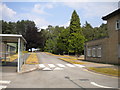 Road through Portland College campus