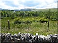 Looking from the B6399 towards the Shankend Viaduct