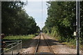 View along the tramway from the path leading into Morden Hall Park #2