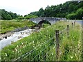NY5096 : Banks of the Whitrope Burn, with B6399 road bridge by David Gearing
