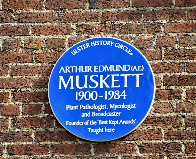 AE Muskett plaque, Belfast (August 2018)
