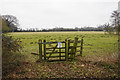 Field for grazing sheep