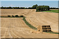 Newly harvested field