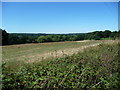 TQ5637 : Farmland south of Ramslye Farm by Christine Johnstone