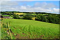 Magharenny Townland