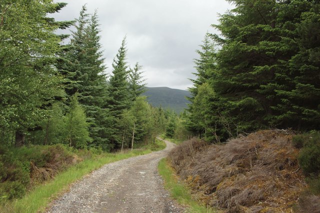 Forest track south of Ardverikie