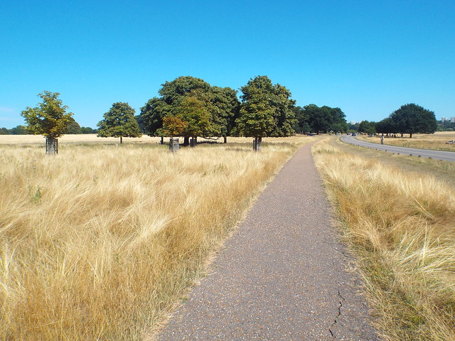 Path in Richmond Park