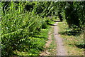 Kennet and Avon Canal towpath, north of Hambridge Lane industrial estate