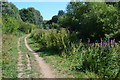 Kennet and Avon Canal towpath, towards Bull