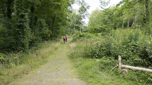 Track, Castlewellan Forest Park © Rossographer :: Geograph Ireland