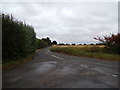 TL8624 : Buckley's Lane, Coggeshall by Geographer