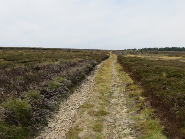 Track crossing Peat Pit Moss and Hades... © Peter Wood :: Geograph ...