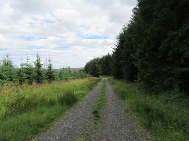 Track to Fallowlees