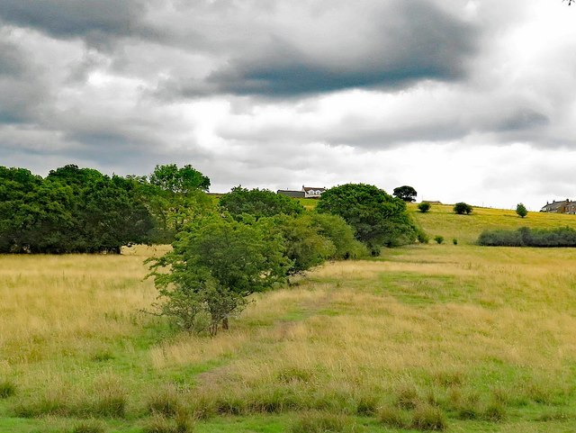Rumby Hill from the west