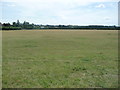 Field west of Welham Road, Norton