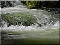 Sluice, The Maltings, Salisbury