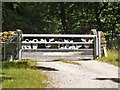 Decorative gate