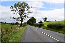 H3873 : Gillygooly Road, Cloghog Lower / Culbuck by Kenneth  Allen