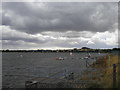 North western side of Bartley Reservoir, Bartley Green