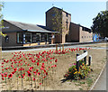 Poppies by the Church