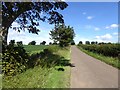 The road to Buston Barns