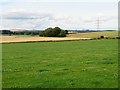 Copse near Deystone