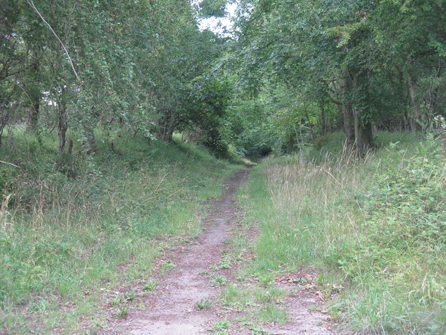 Path to the A199 near Howmuir