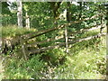 Collapsed footbridge on path from Butter Fields to Beckfoot