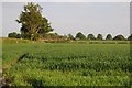 Farmland near Weston-under-Lizard