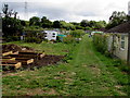 Southern edge of Trethomas Allotments