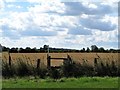 Stile on the footpath