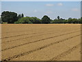 Ploughed field east of Watersplash Farm buildings