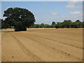 Ploughed field east of Watersplash Farm buildings (2)