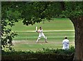 Cricket at Hathersage