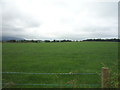 Grassland, Raygill Moss