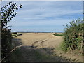 Stubble field near Rue